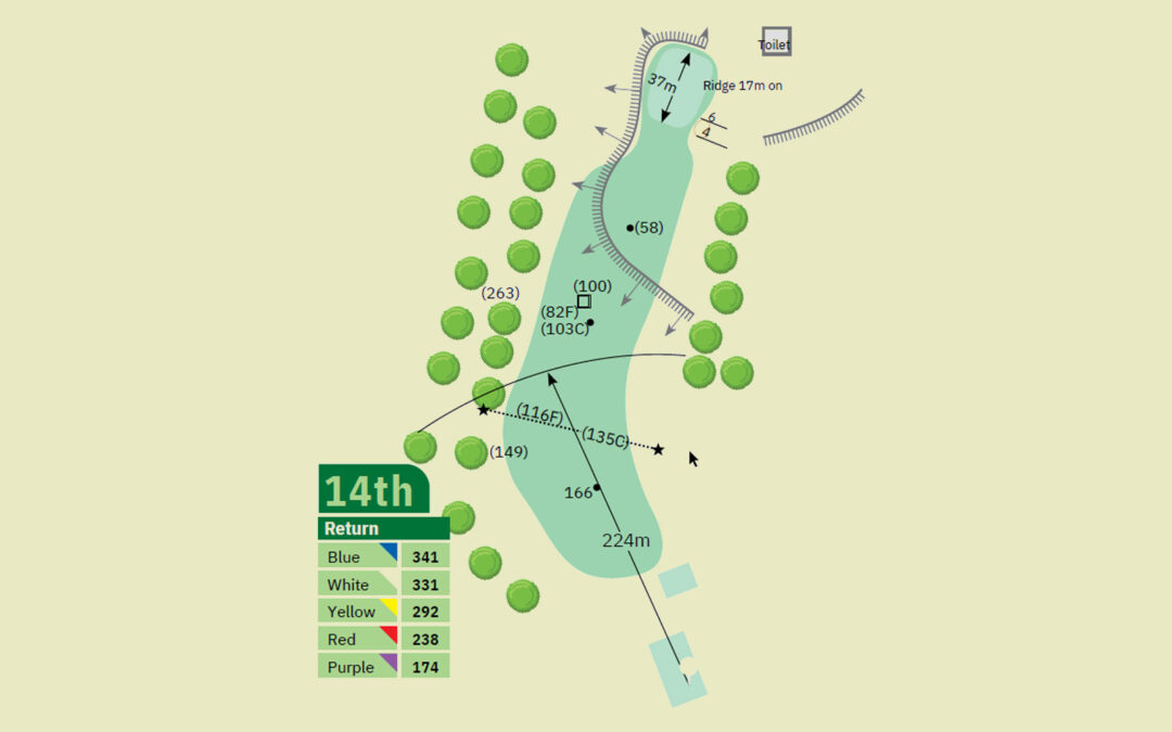 Hole 14